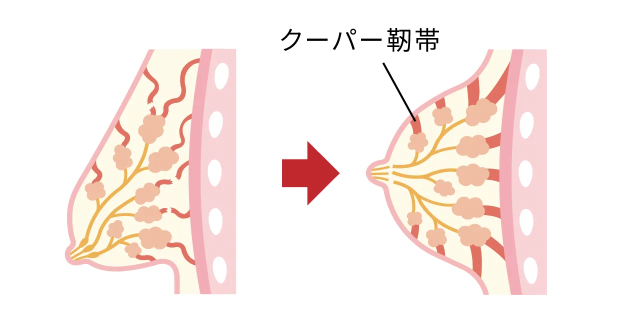 特許成分の説明